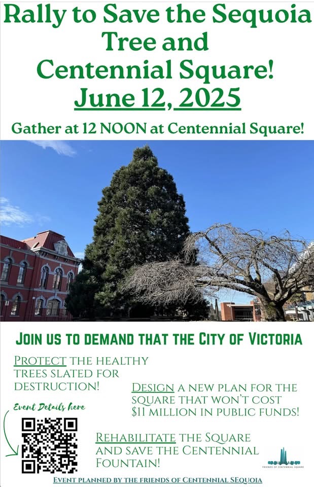 A Rally to Save the Centennial Sequoia. June 12th at 12 noon (lunchtime rally) at Centennial Square, City of Victoria Municipal Hall