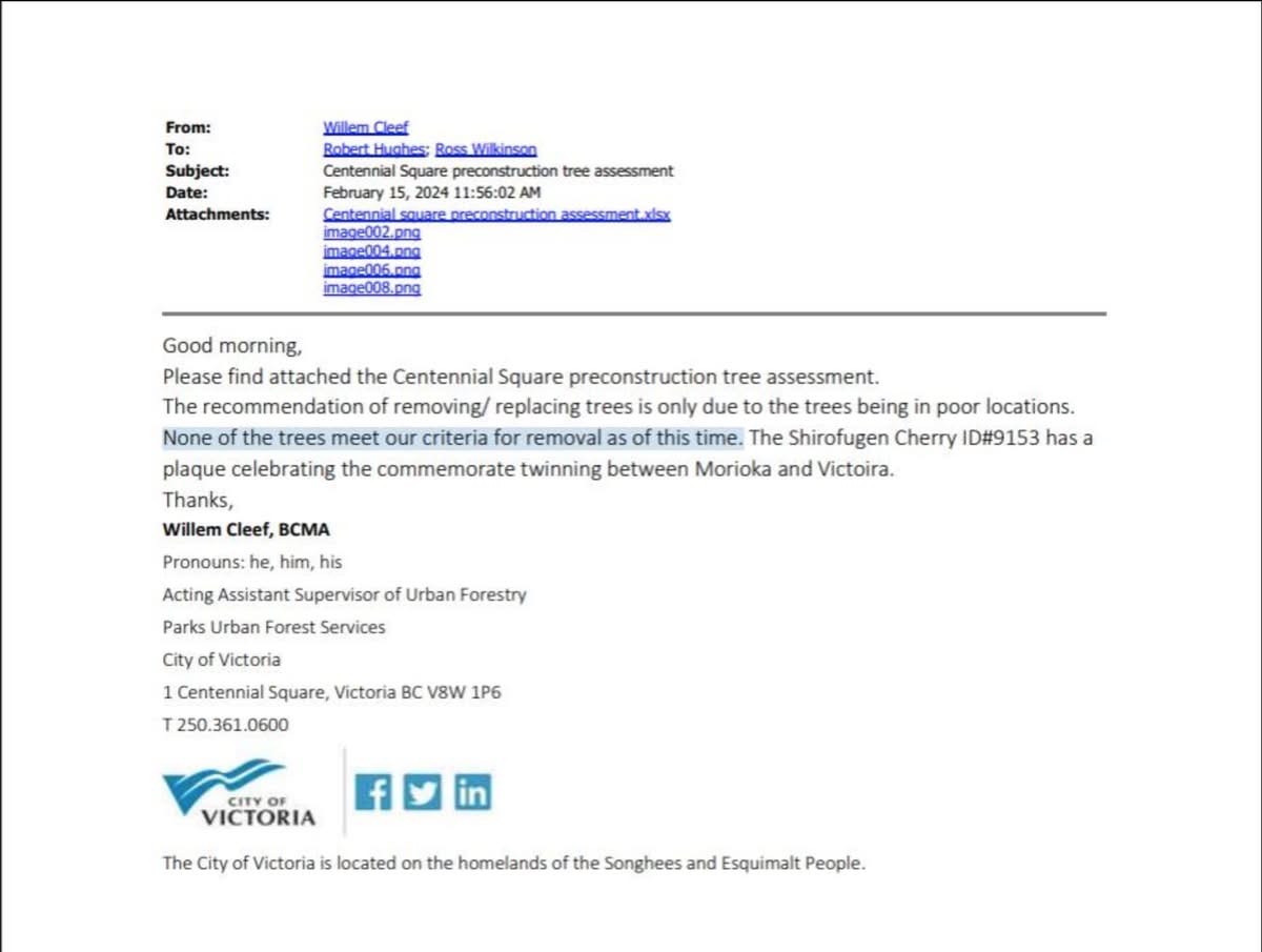 A Freedom of Information response revealed that City of Victoria staff stated in February 2024 that none of the trees in Centennial Square met the criteria for removal.