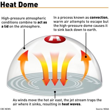 HEAT DOME ANNIVERSARY – CALL FOR LETTER SIGNING by June 23rd, 2025