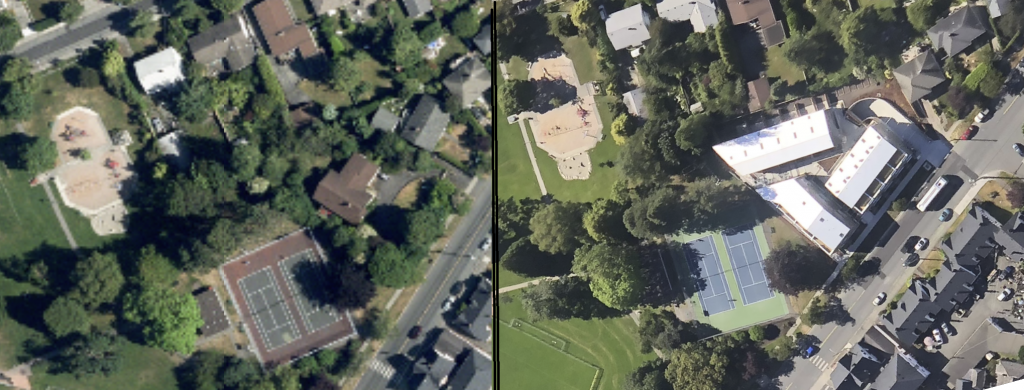 Do Tree Protection Bylaws really “protect” the urban forest since the introduction of new housing regulations and legislation?