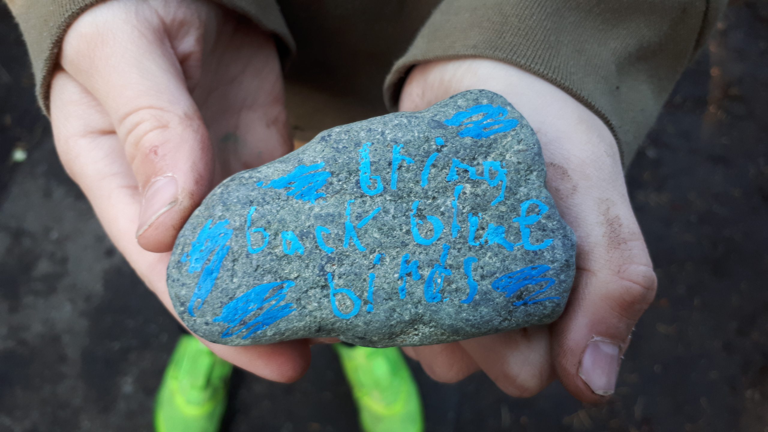 Oak Bay – Carrick Trail trail saved: âWhen neighbours come together, good things happenâ